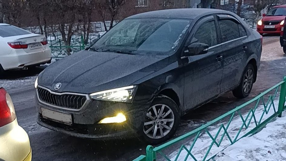 Skoda Rapid Птичка