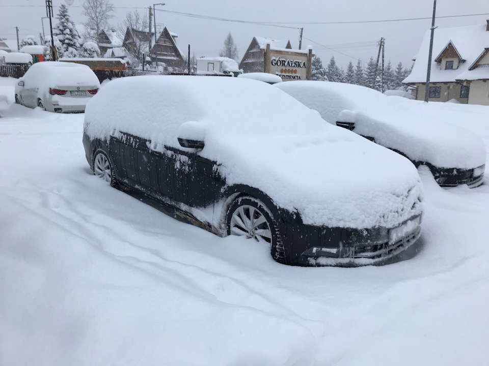 Засыпал суперб — Skoda Superb Combi (Mk3)