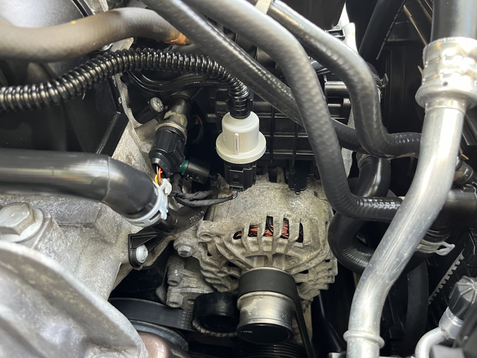 Фото в бортжурнале Skoda Octavia A7 Mk3