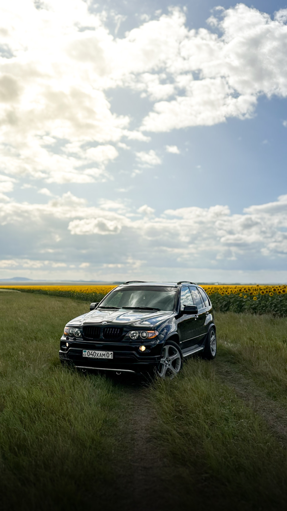 Фото в бортжурнале BMW X5 (E53)