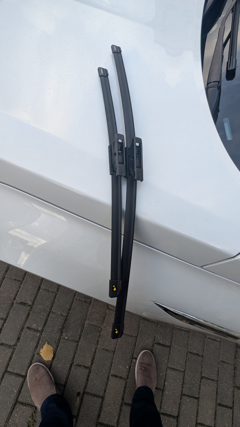 288905565R — Renault Talisman. Found on photo: 288905565R