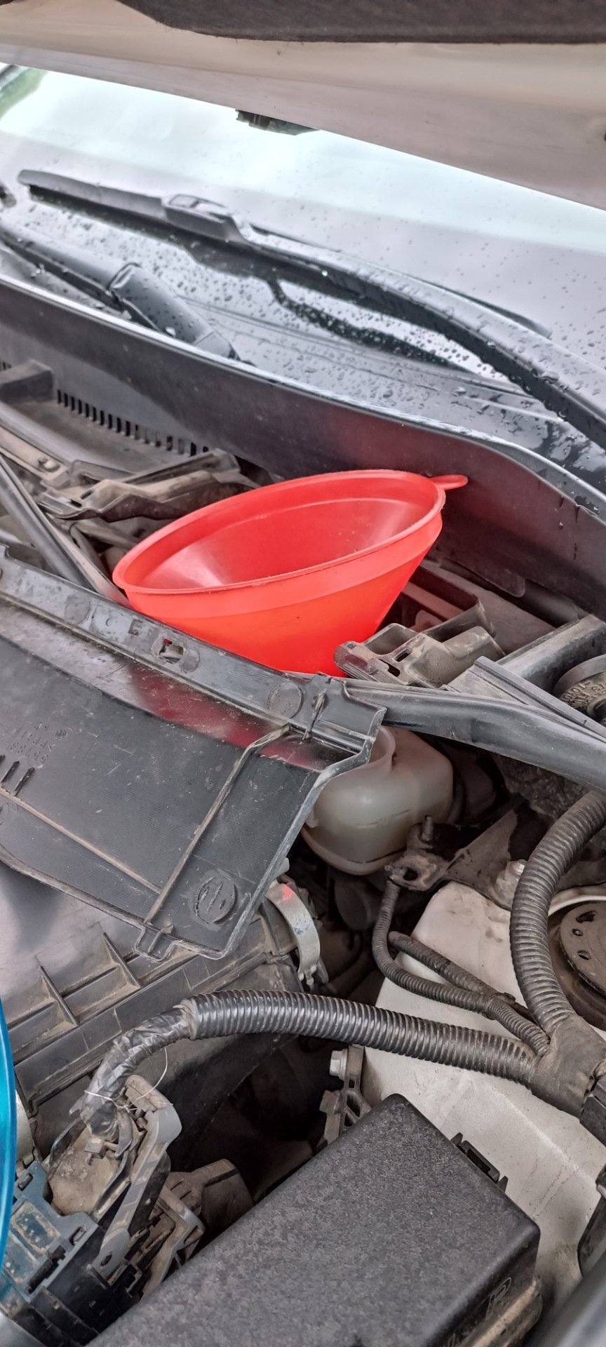 Фото в бортжурнале Toyota RAV4 (IV)