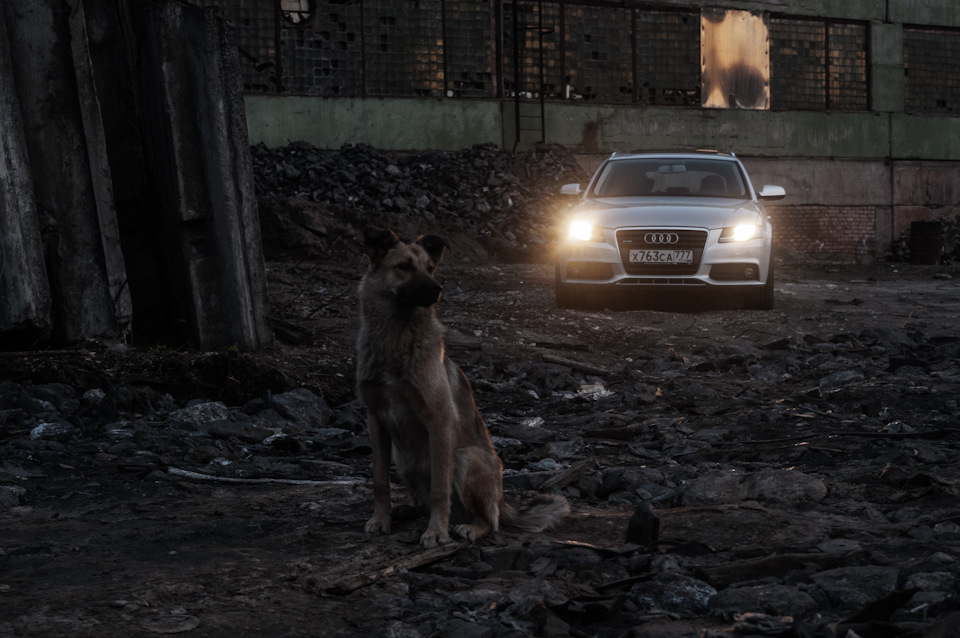 Фото в бортжурнале Audi A4 Avant (B8)