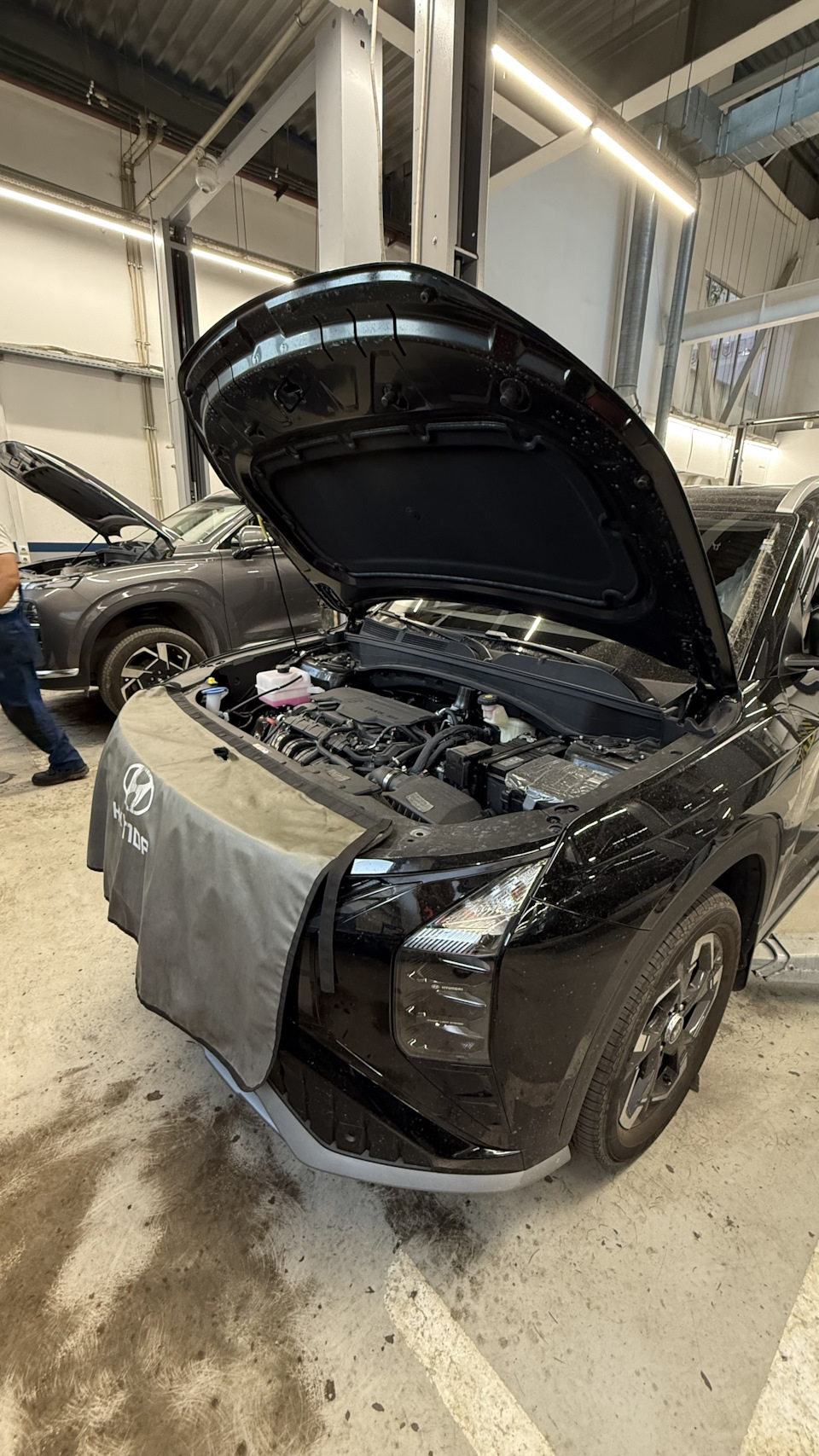 Начало нравится — Hyundai Mufasa