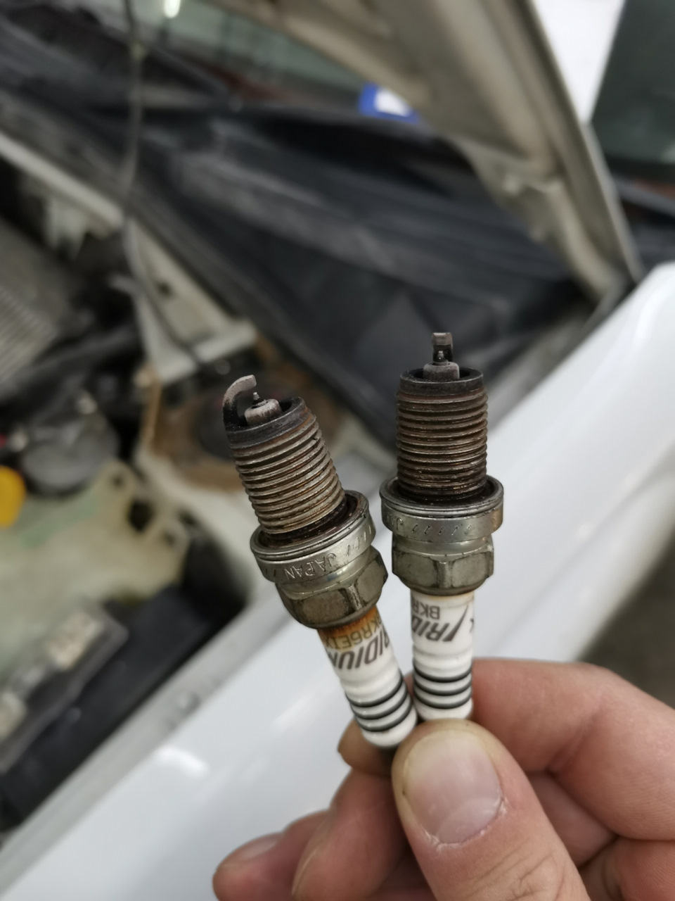 Фото в бортжурнале Subaru Forester (SG)
