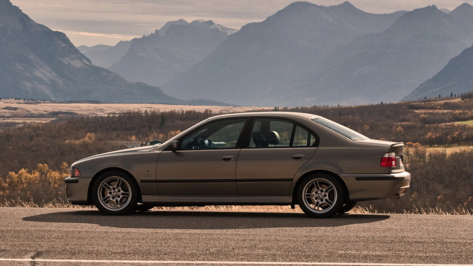 BMW 5 series Пятак