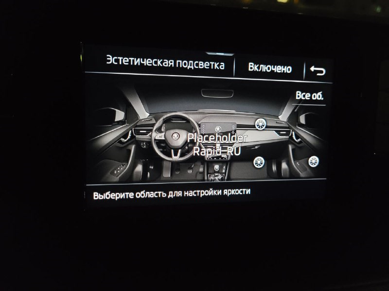 Раздельная регулировка яркости подсветки — Skoda Rapid (2G)