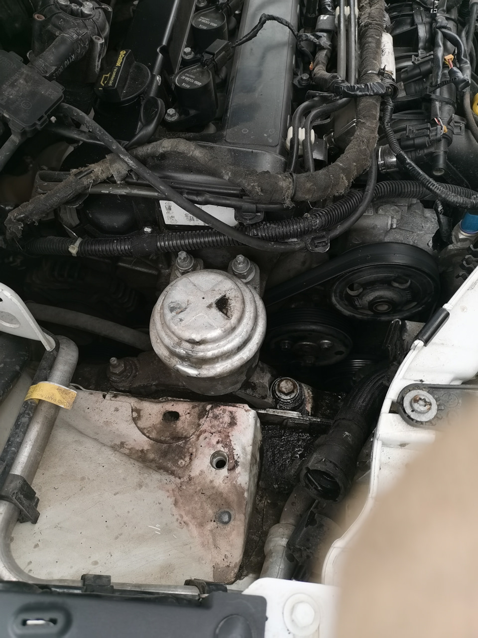 Photo from the logbook Ford Mondeo IV