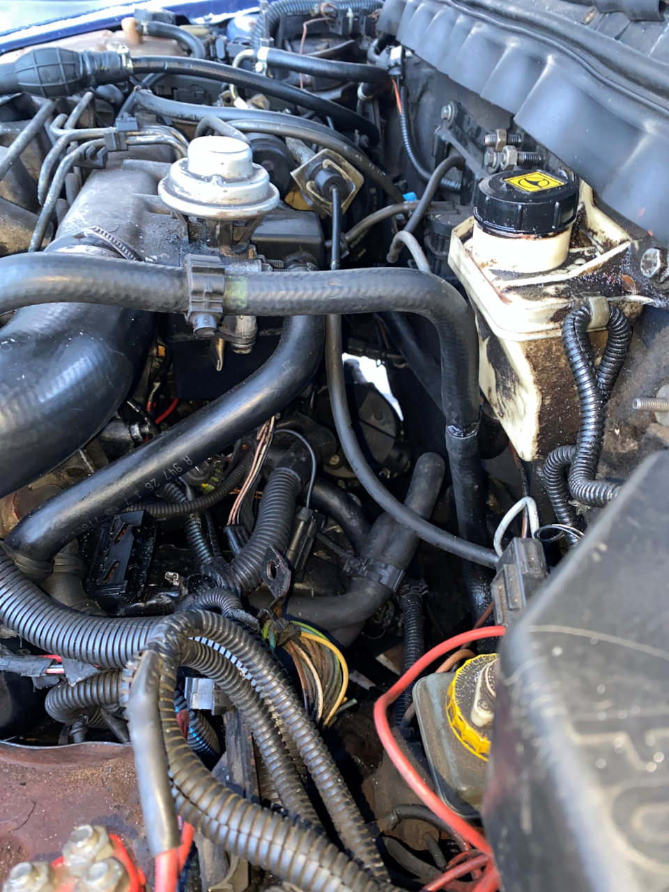 6 — FIAT Marea
