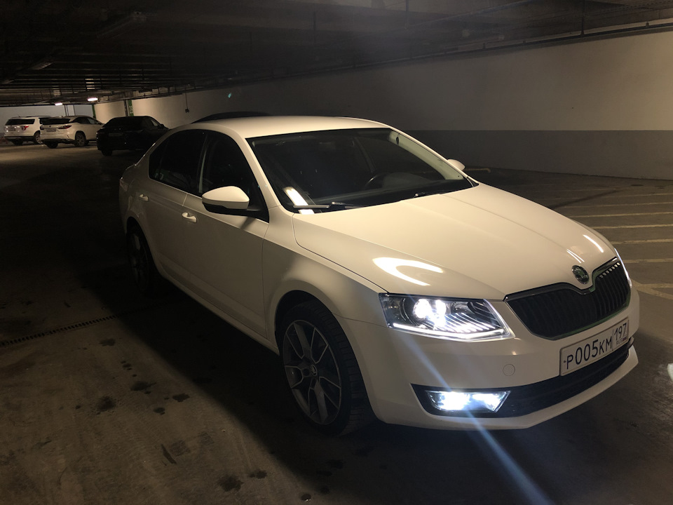 Фото в бортжурнале Skoda Octavia A7 Mk3