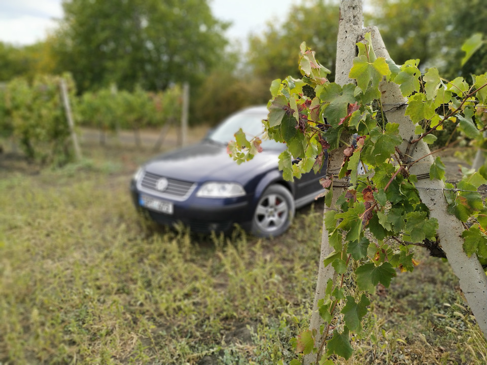 Фото в бортжурнале Volkswagen Passat B5