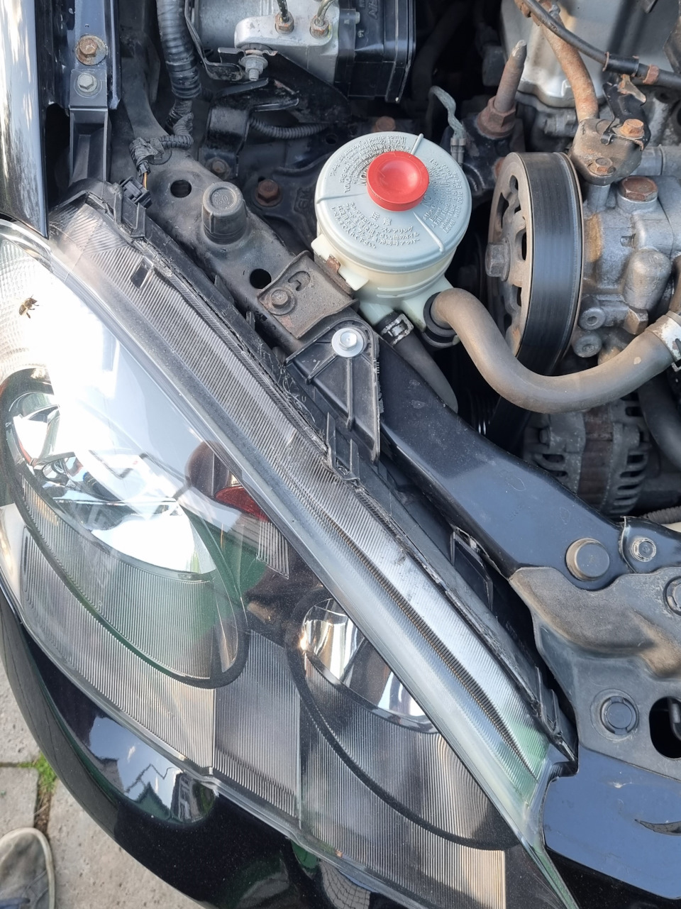 Фото в бортжурнале Acura RSX