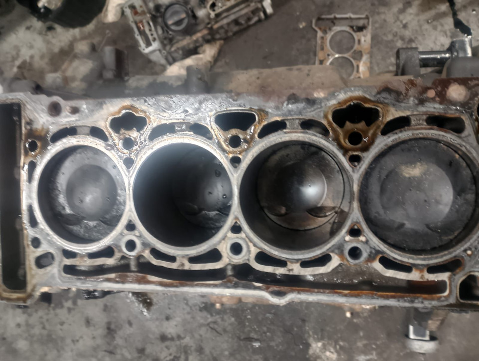 Фото в бортжурнале Volkswagen Tiguan (1G)