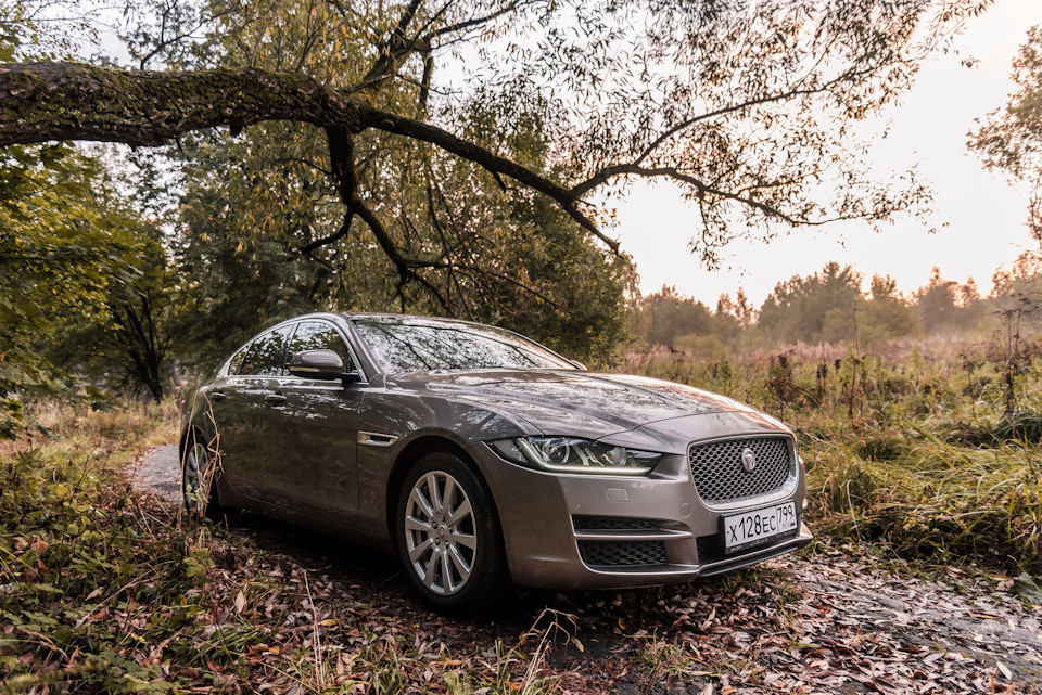 Фото в бортжурнале Jaguar XE