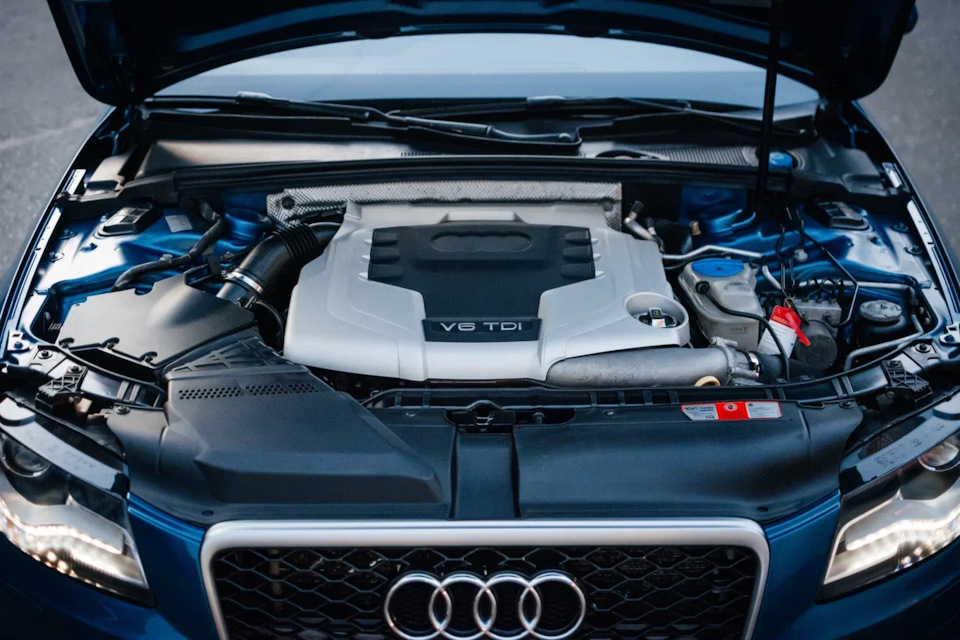 Фото в бортжурнале Audi A4 Avant (B8)