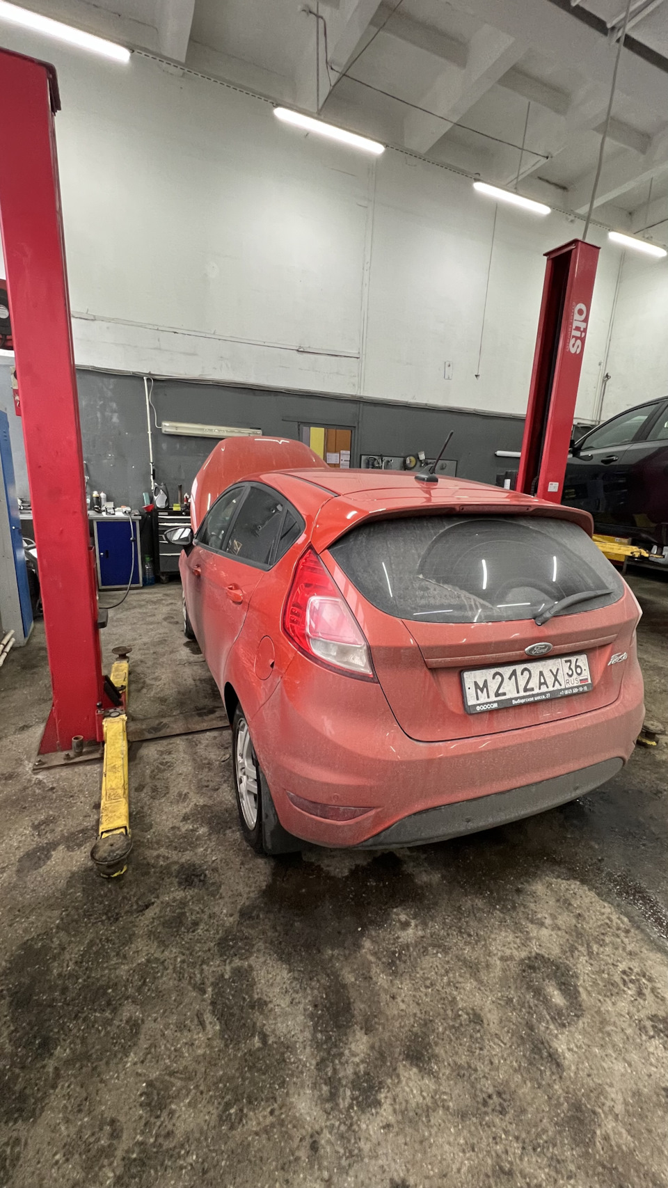 Фото в бортжурнале Ford Fiesta (Mk VI)
