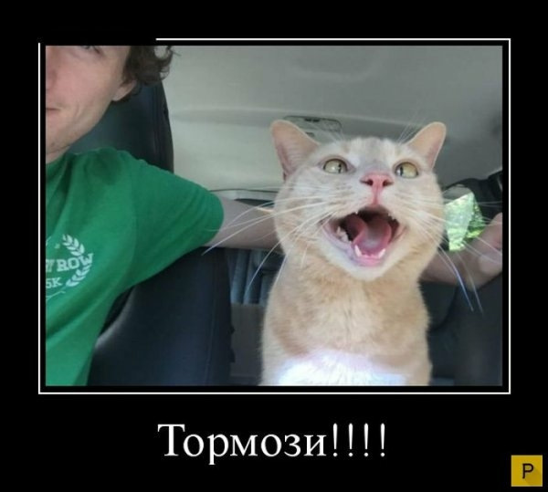 Такая картинка уже была, но она подходит))) — Volkswagen Passat Variant (B7)
