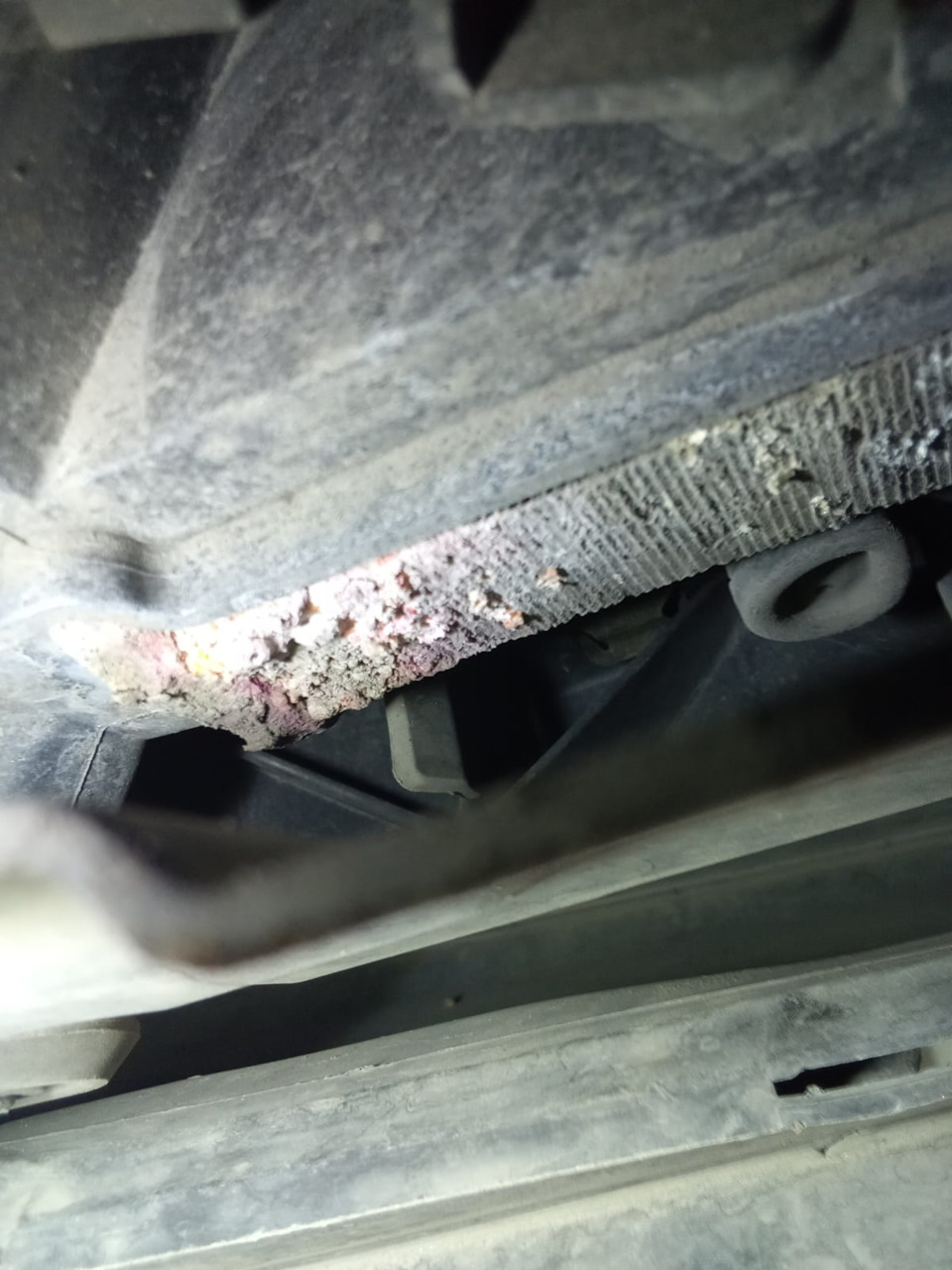 Потек — Volkswagen Golf Mk5