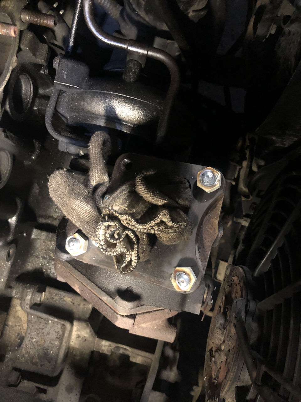 Фото в бортжурнале Mitsubishi Airtrek Turbo