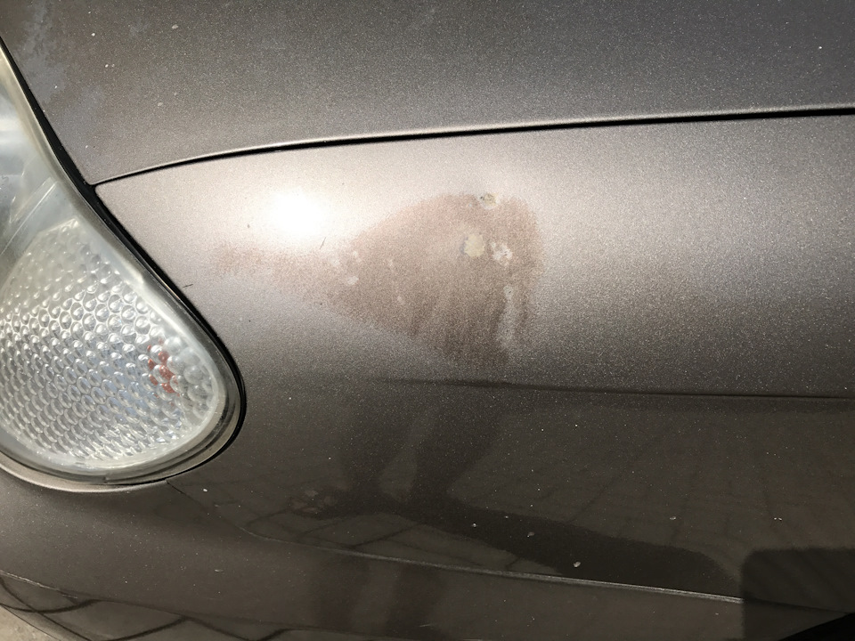 Фото в бортжурнале KIA Spectra