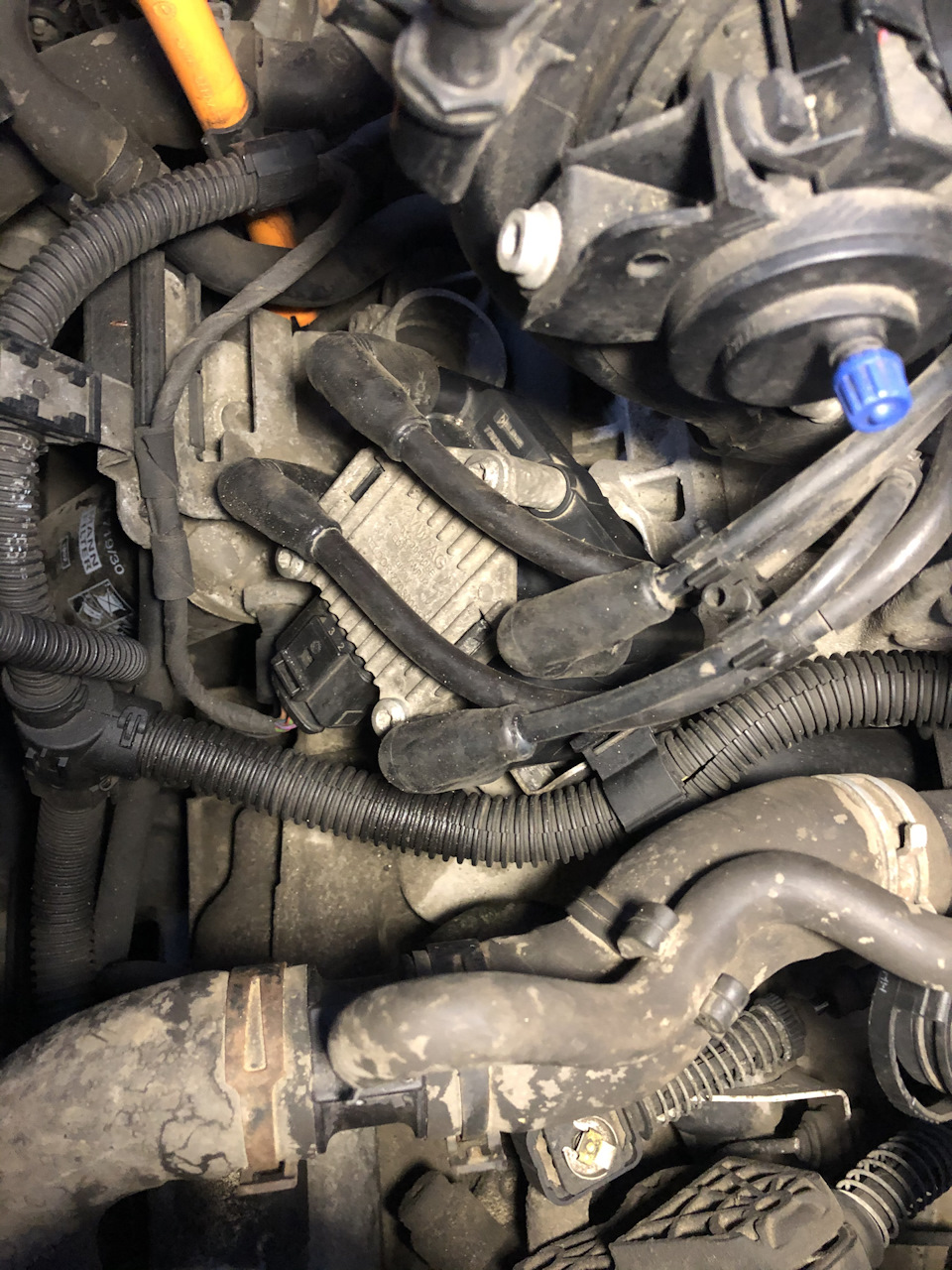 Фото в бортжурнале Volkswagen Golf Plus