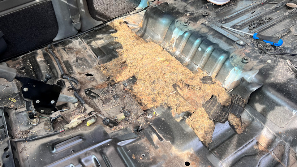 Фото в бортжурнале Toyota Land Cruiser Prado 70-series