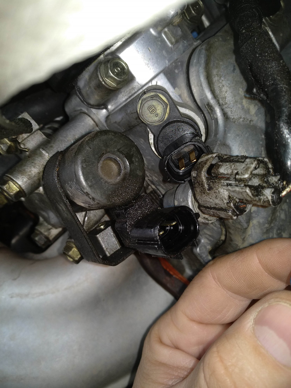 Фото в бортжурнале Subaru Legacy (BL/BP)