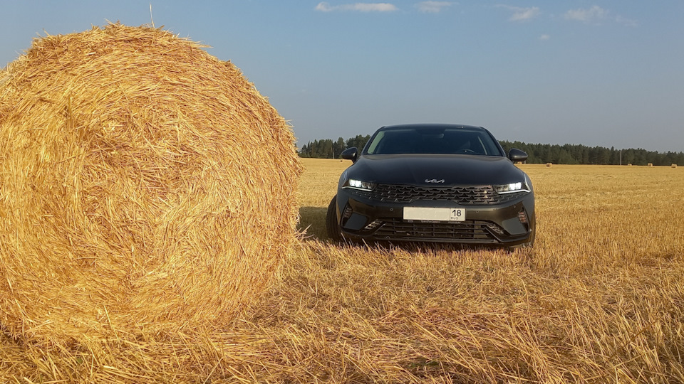 KIA K5 Тёмно-серый