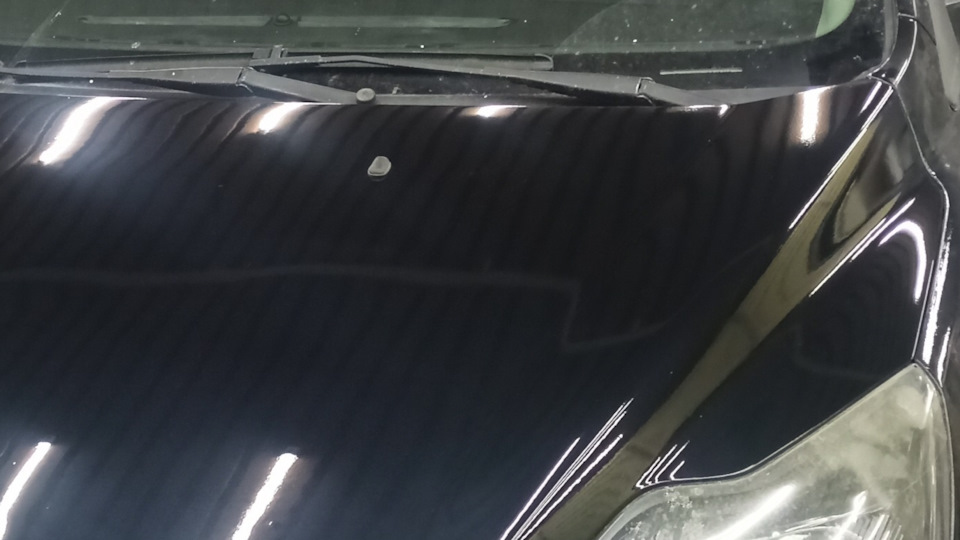 Ford Focus Sedan \\Vorono'i//