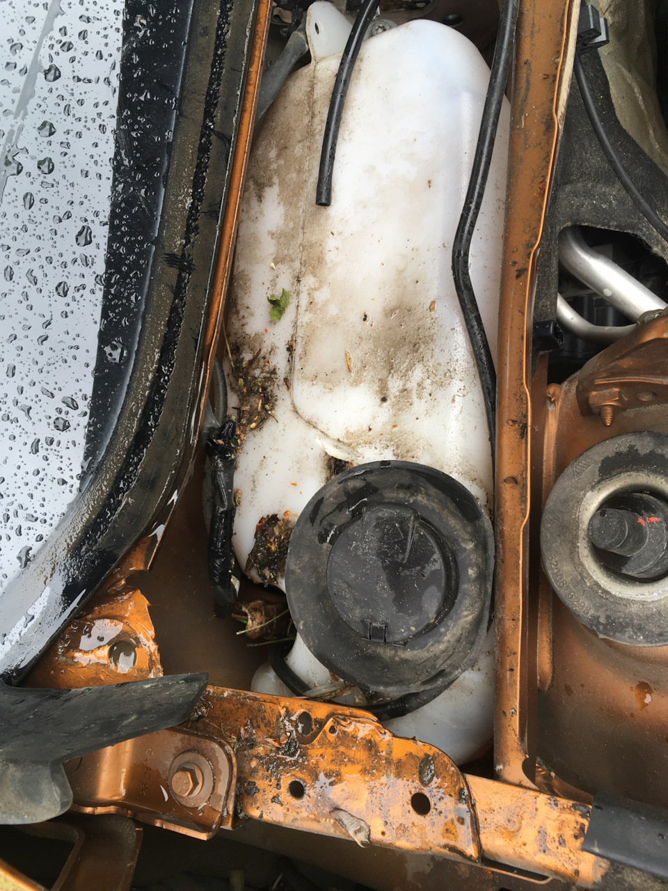 Фото в бортжурнале Renault Duster (2G)