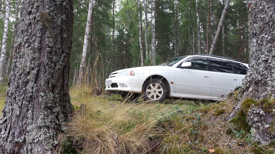 Toyota Caldina белянка