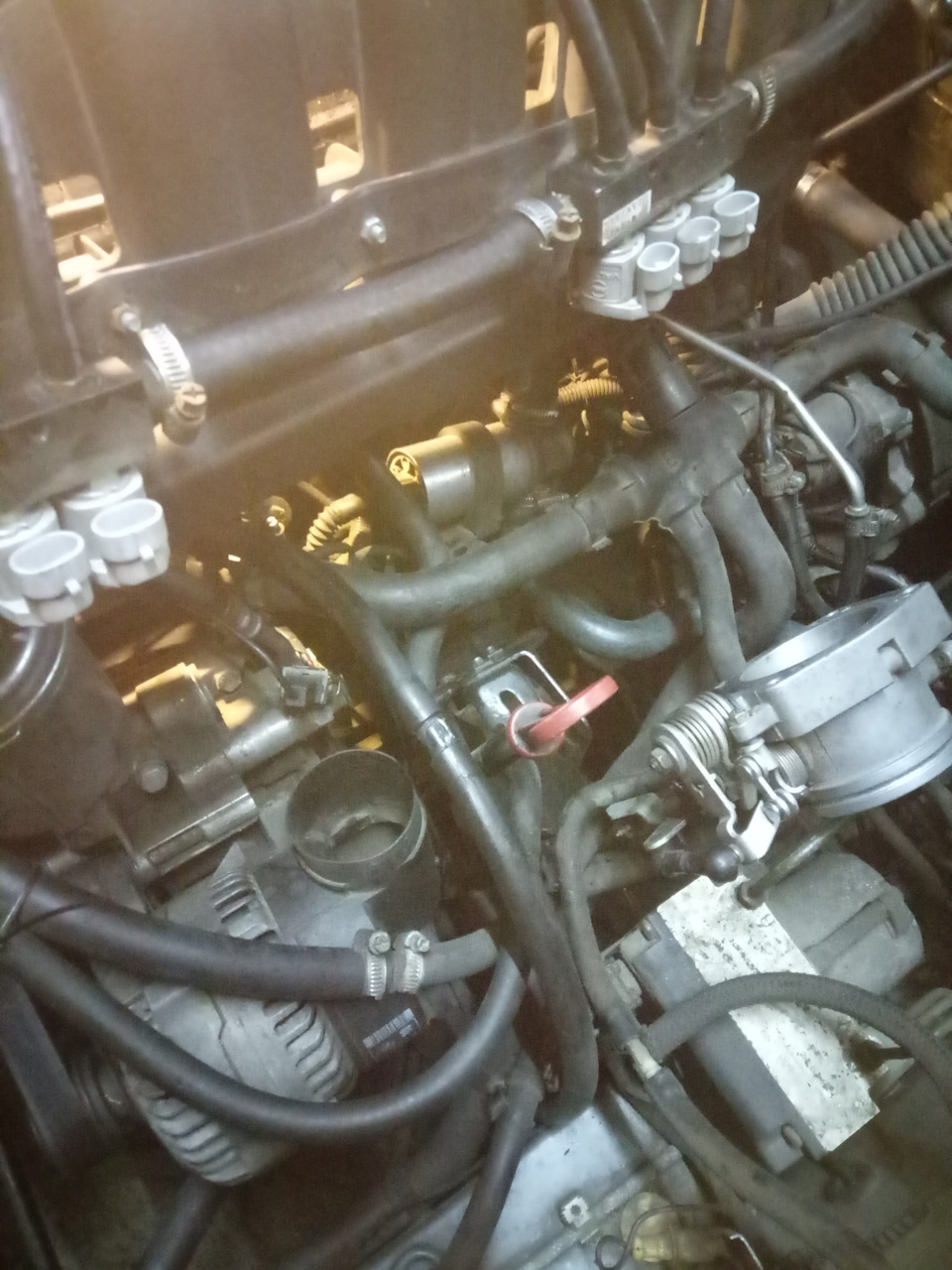 Фото в бортжурнале BMW 5 series (E34)