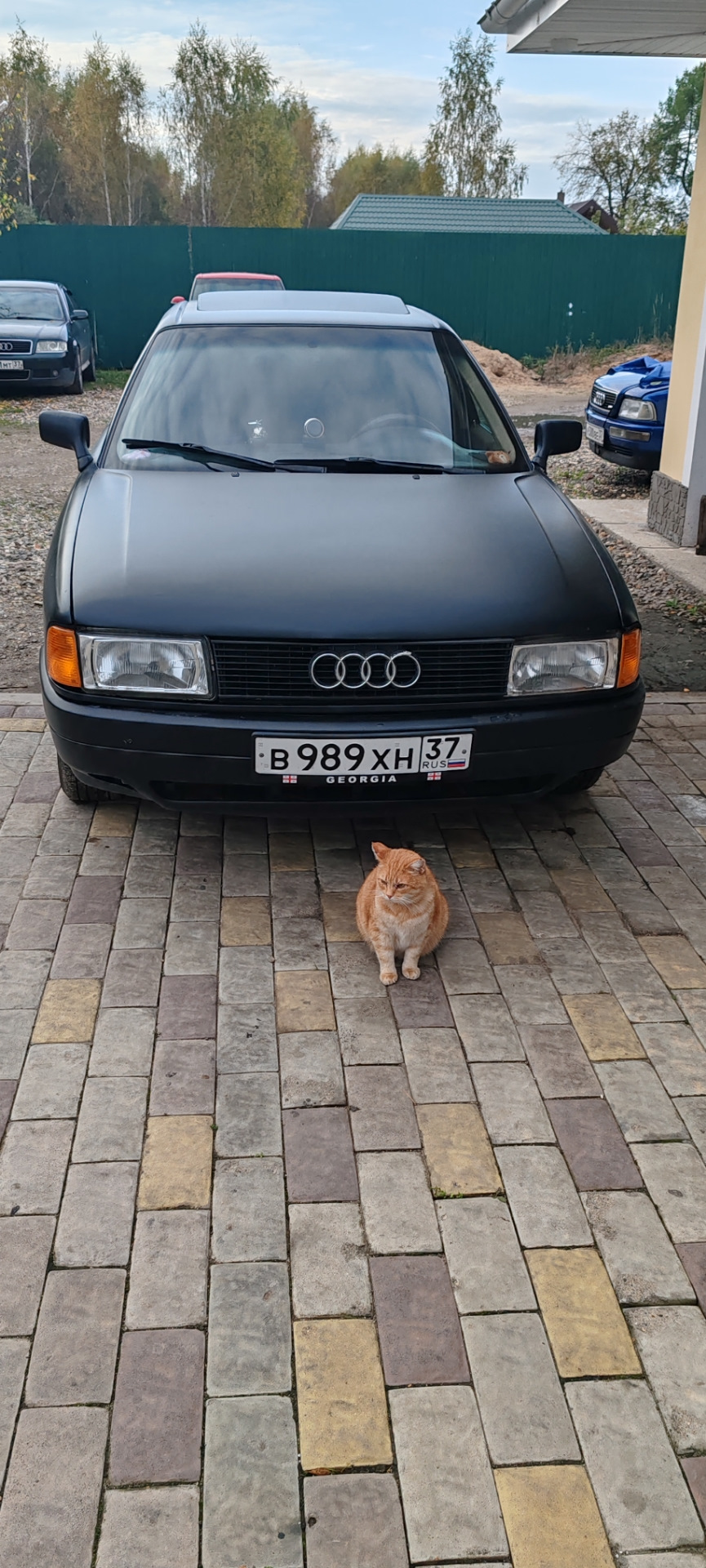 Фото в бортжурнале Audi 80 (B3)