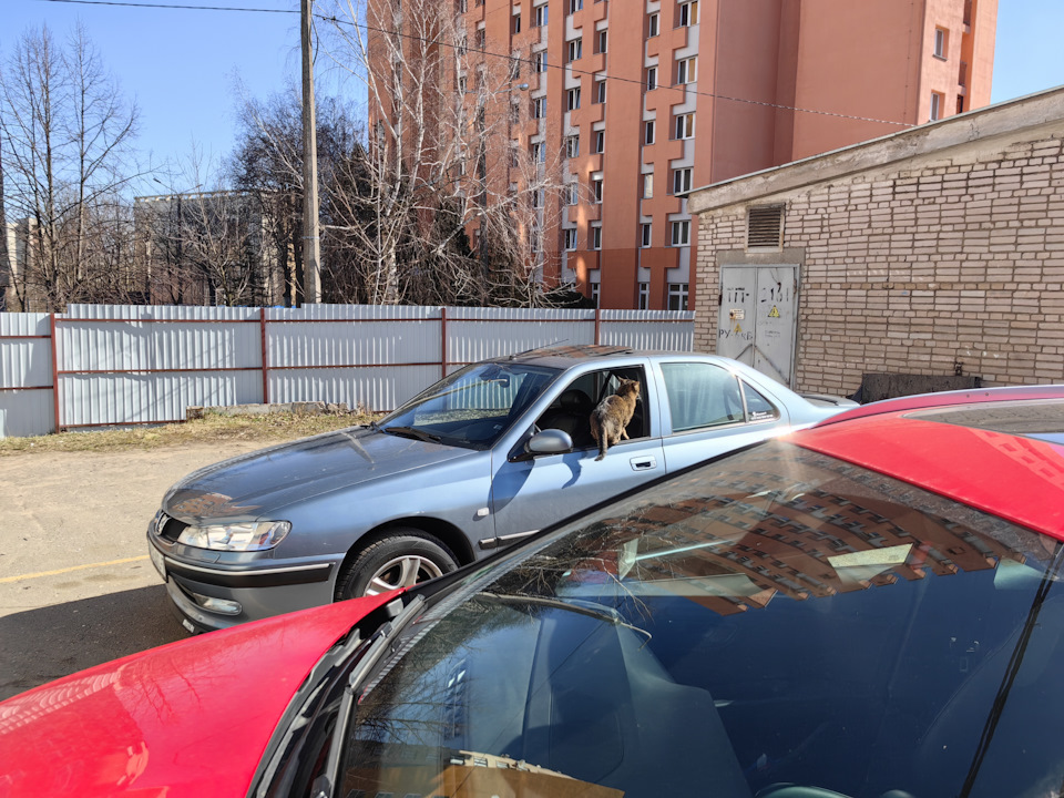 Фото в бортжурнале Peugeot 406