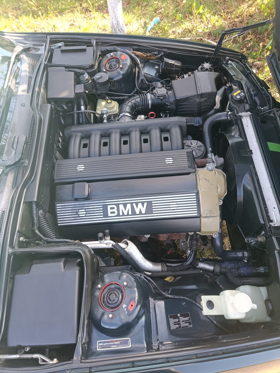Установлено — BMW 5 series (E34)
