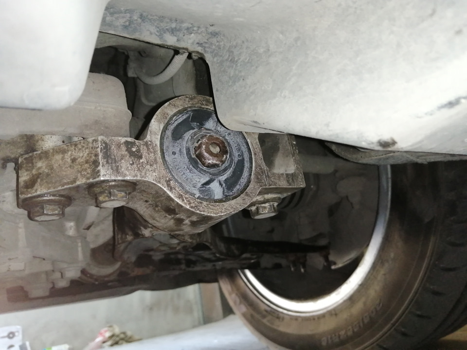 Фото в бортжурнале Skoda Octavia A5 Mk2