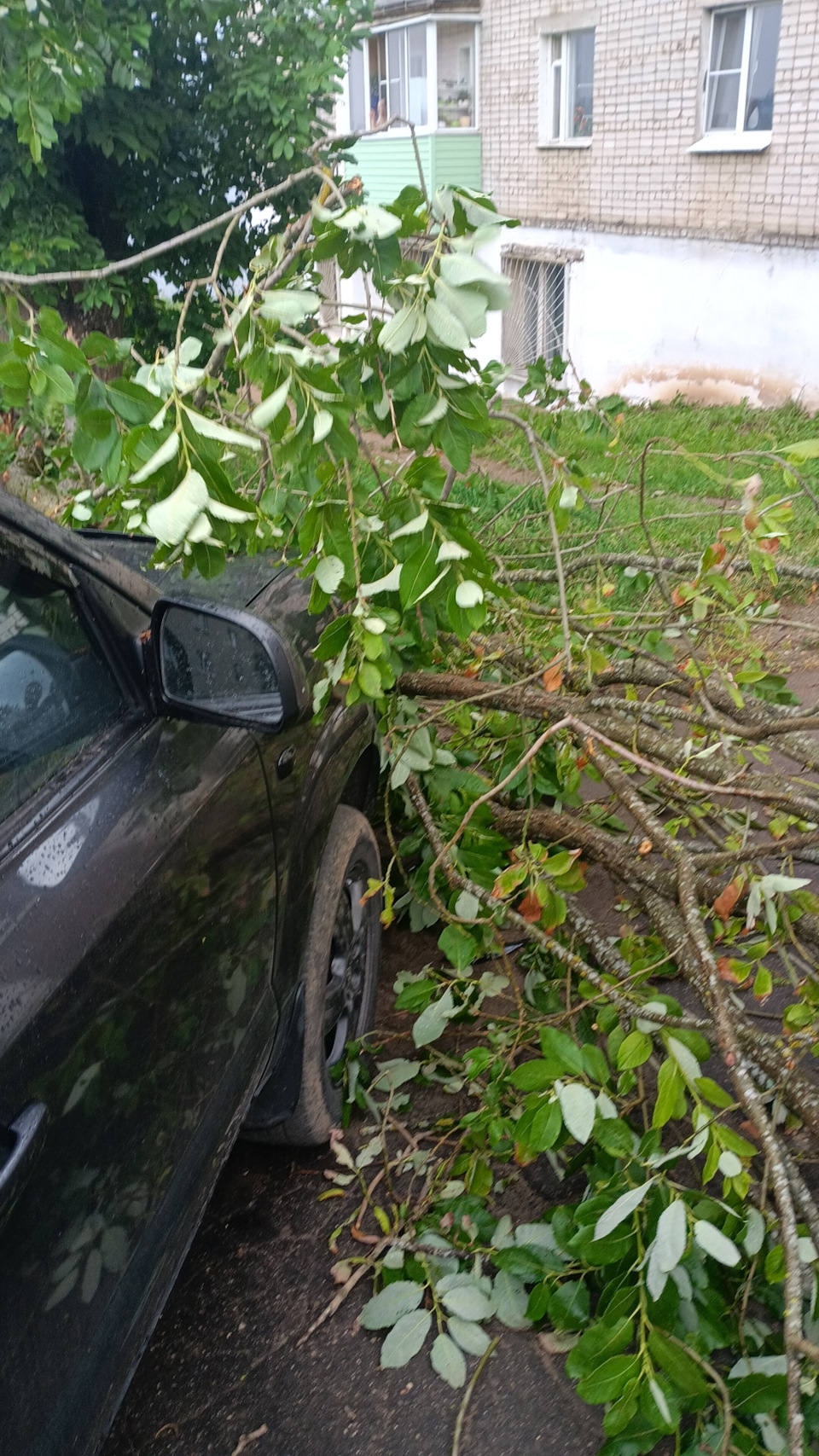Фото в бортжурнале Hyundai Tucson (JM)