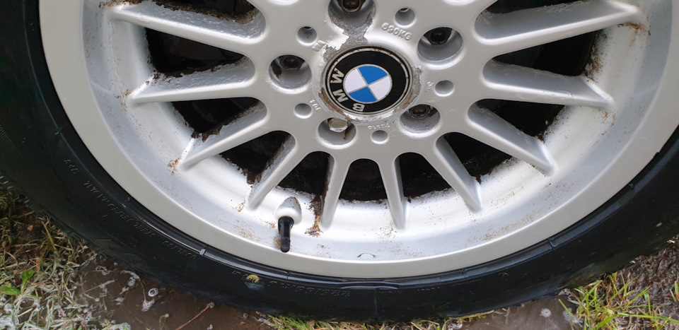 Фото в бортжурнале BMW 5 series (E39)