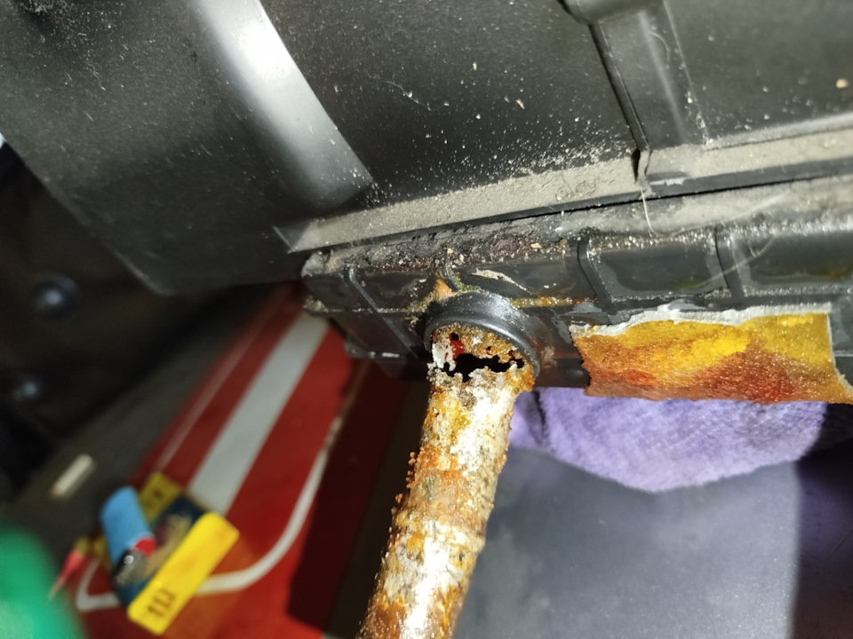 Паскуда в ракурсе — Hyundai Accent (2G)