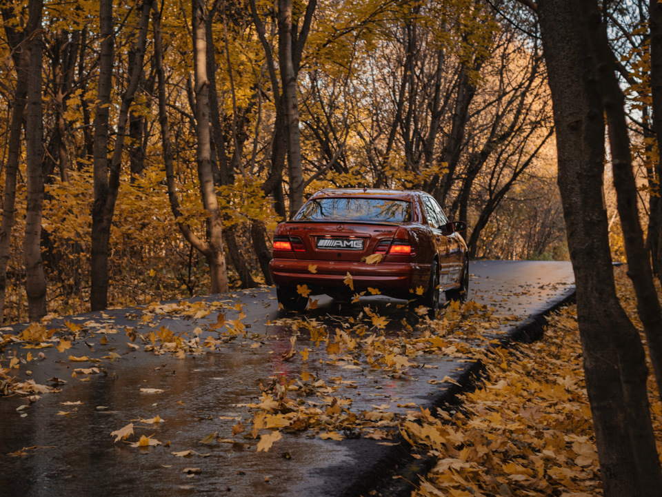 Фото в бортжурнале Mercedes-Benz E-Class (W210)