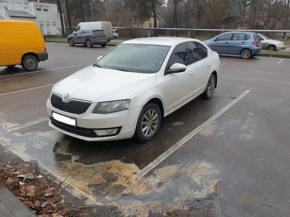 Фото в бортжурнале Skoda Octavia A7 Mk3