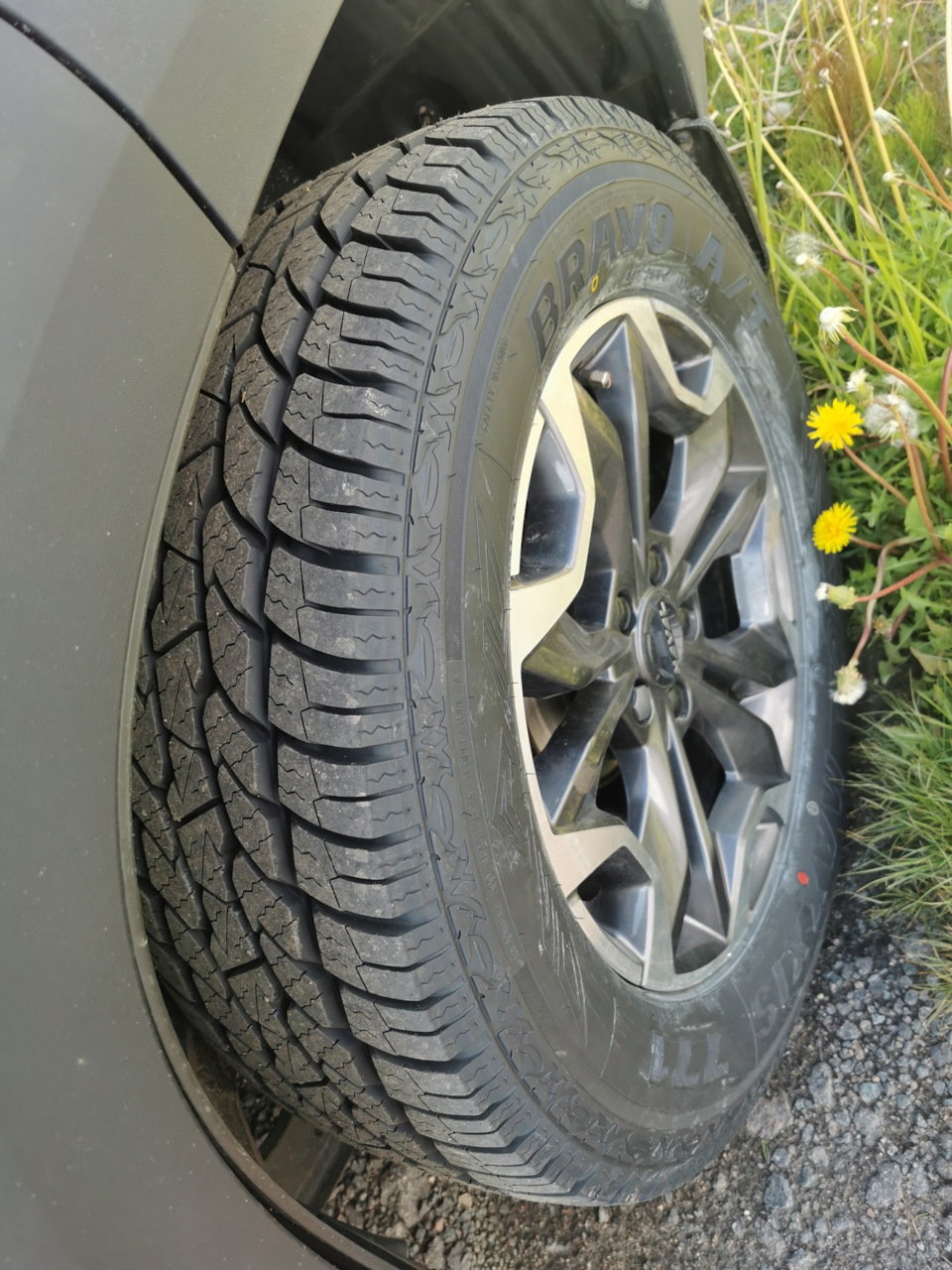 Фото в бортжурнале Haval Dargo