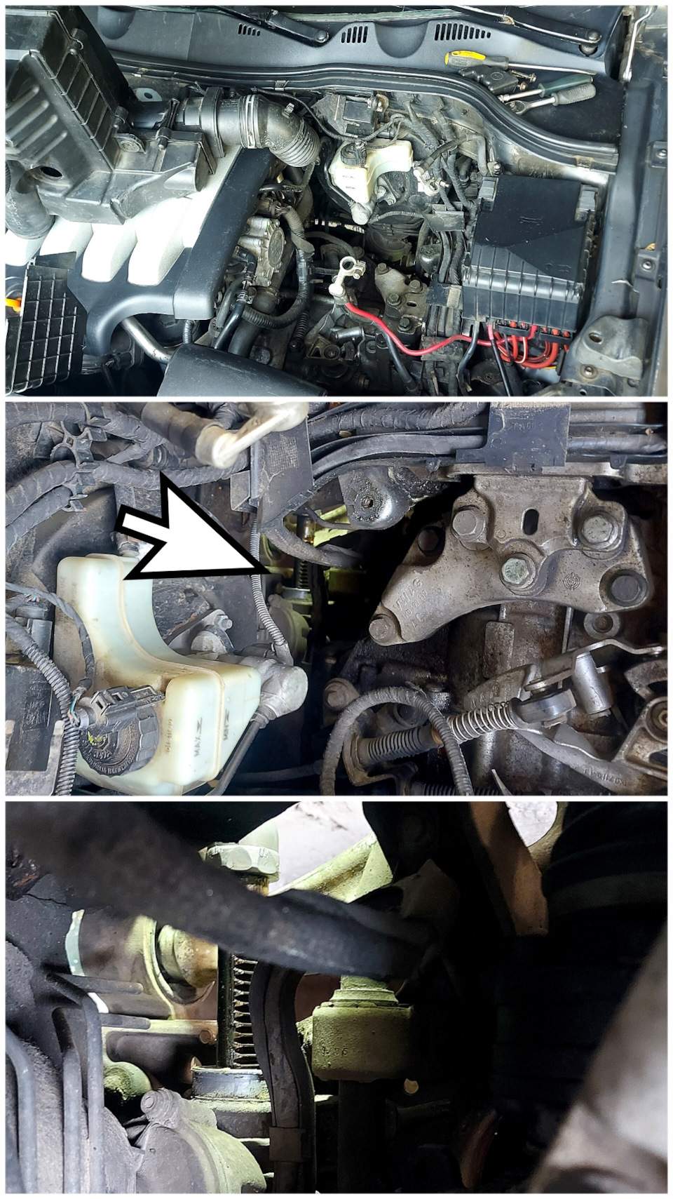 Фото в бортжурнале Volkswagen Passat B6