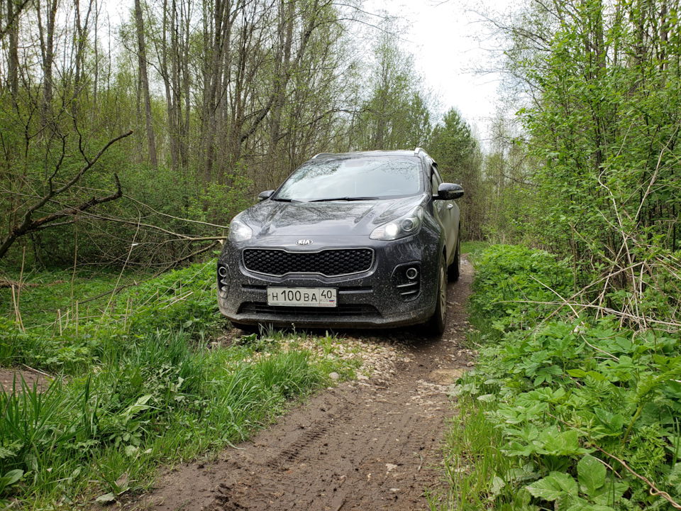 Здесь был небольшой хрррр — KIA Sportage (4G)