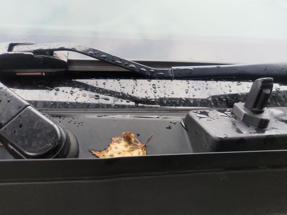 Фото в бортжурнале Land Rover Discovery Sport (2G)
