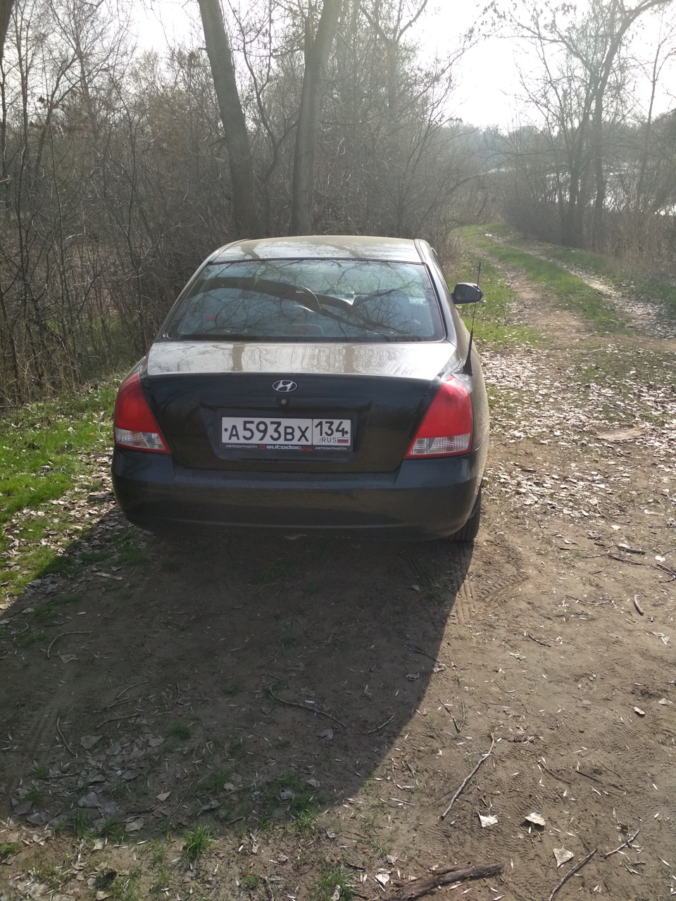 Фото в бортжурнале Hyundai Elantra (3G)