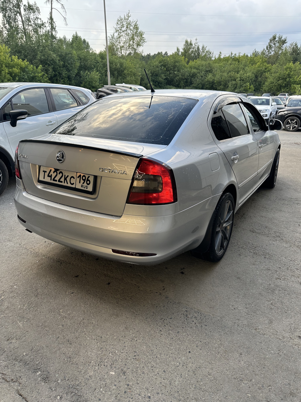 Фото в бортжурнале Skoda Octavia A5 Mk2