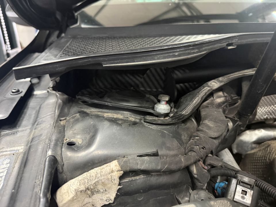 Установлена — Volkswagen Passat Variant (B8)