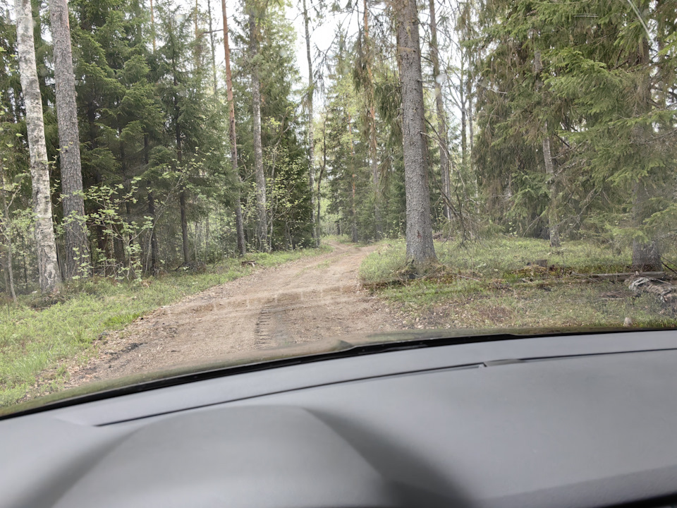 Фото в бортжурнале Skoda Octavia A7 Mk3