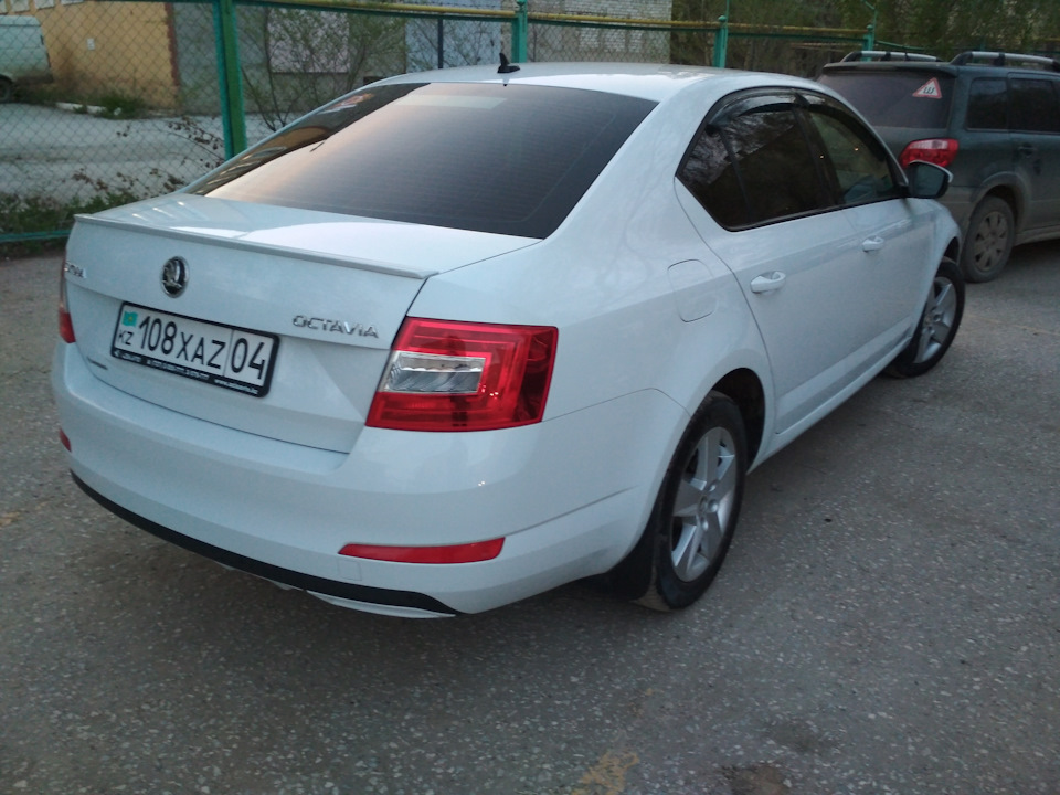 Фото в бортжурнале Skoda Octavia A7 Mk3